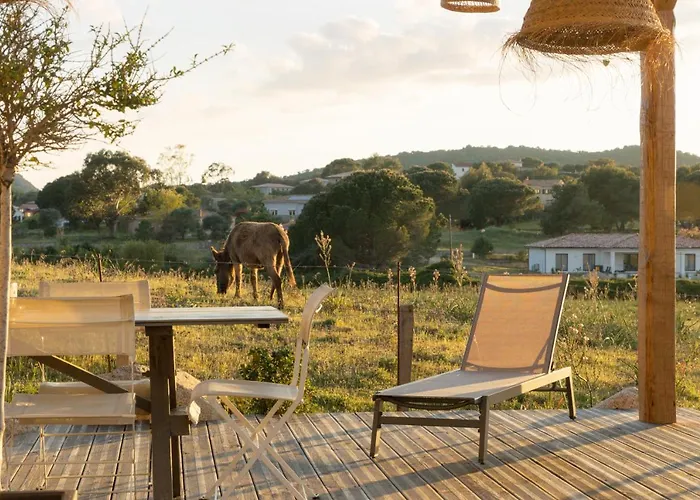 Villa Nivalaggia avec piscine à 15-20min de Porto-Vecchio et de Bonifacio, sunsets sur les champs * Figari (Corsica)