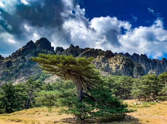 Villa Villa Calme Avec Piscine Chauffee - 6 Personnes - Figari Proche Porto-Vecchio Et Bonifacio Figari (Corsica)