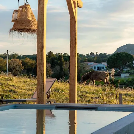 Villa Calme Avec Piscine Chauffee - 6 Personnes - Figari Proche Porto-Vecchio Et Bonifacio Villa *