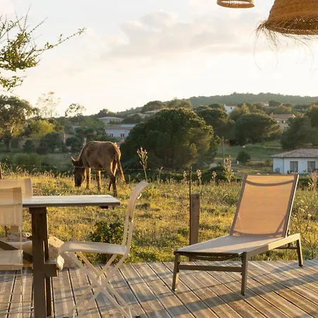 Calme Avec Piscine Chauffee - 6 Personnes - Proche Porto-vecchio Et Bonifacio * Фигари